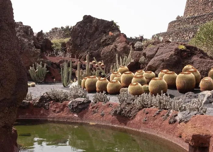 Casa Tamatina By Mhousing Daire