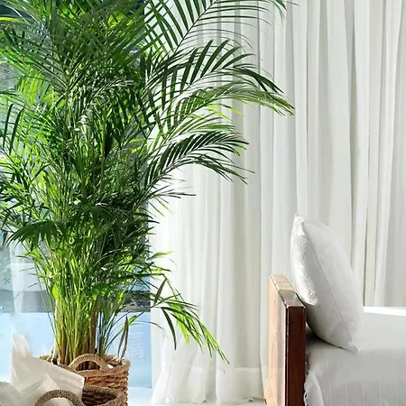 Casa Tamatina By Mhousing Appartamento