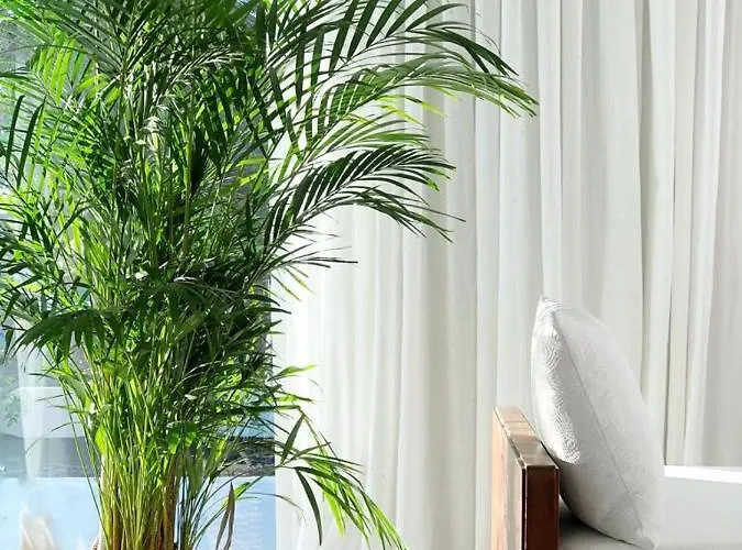 Casa Tamatina By Mhousing Apartament